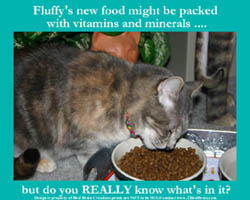 What's REALLY in pet food?